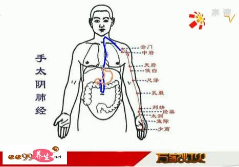 拇指上循行的经络点:手太阴肺经.